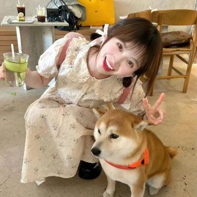 飞燕迎春